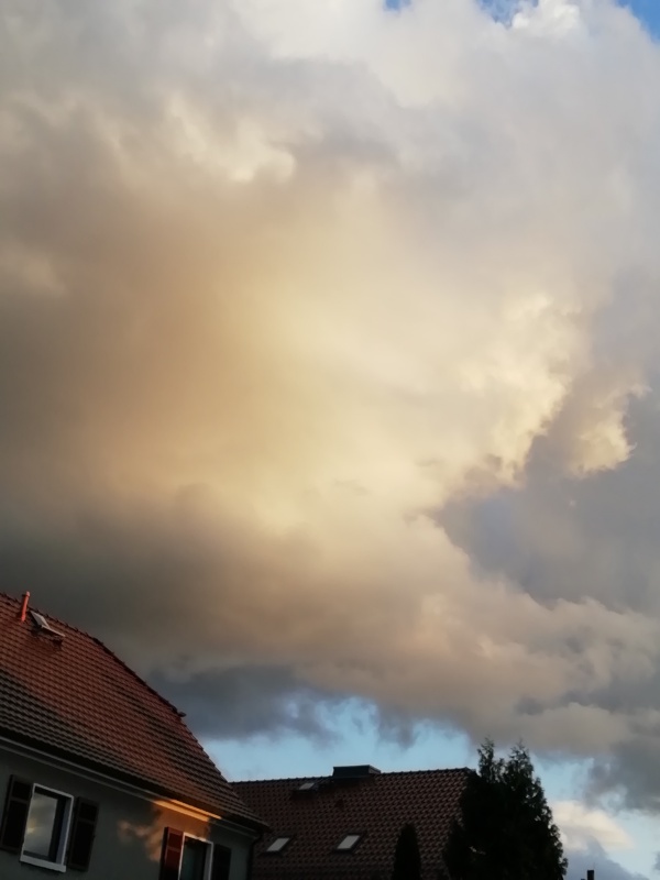 009 Gefahr im Verzug
