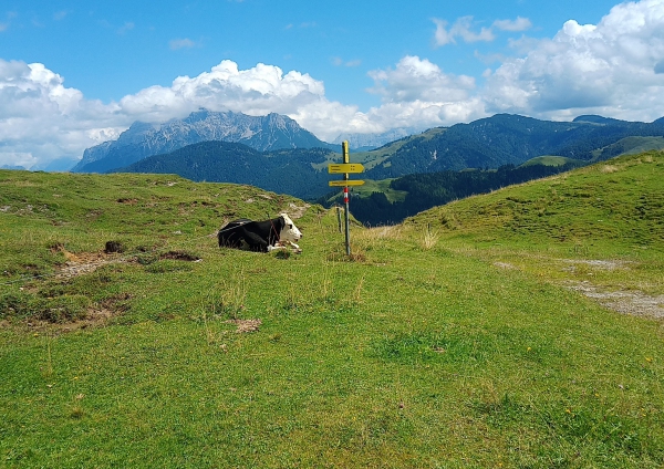 019_Alpenidylle