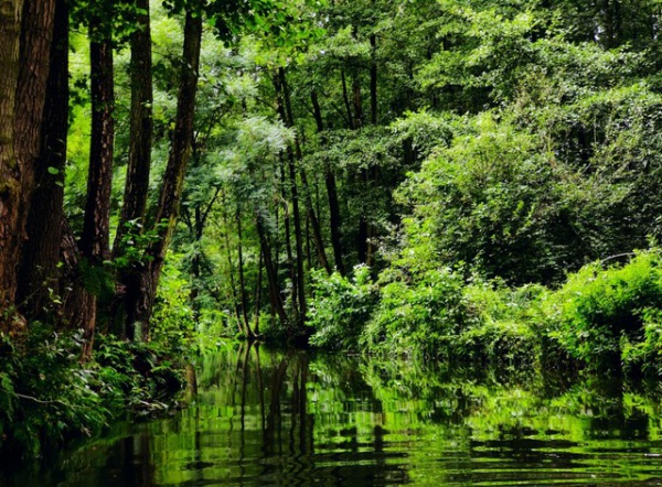 027 Paddeln-im-Spreewald_