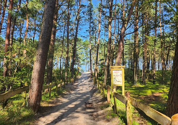 028  Schöner Weg zum Strand