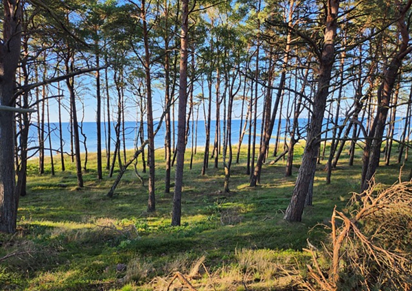 029 Urlaub an der polnischen Ostsee 2023