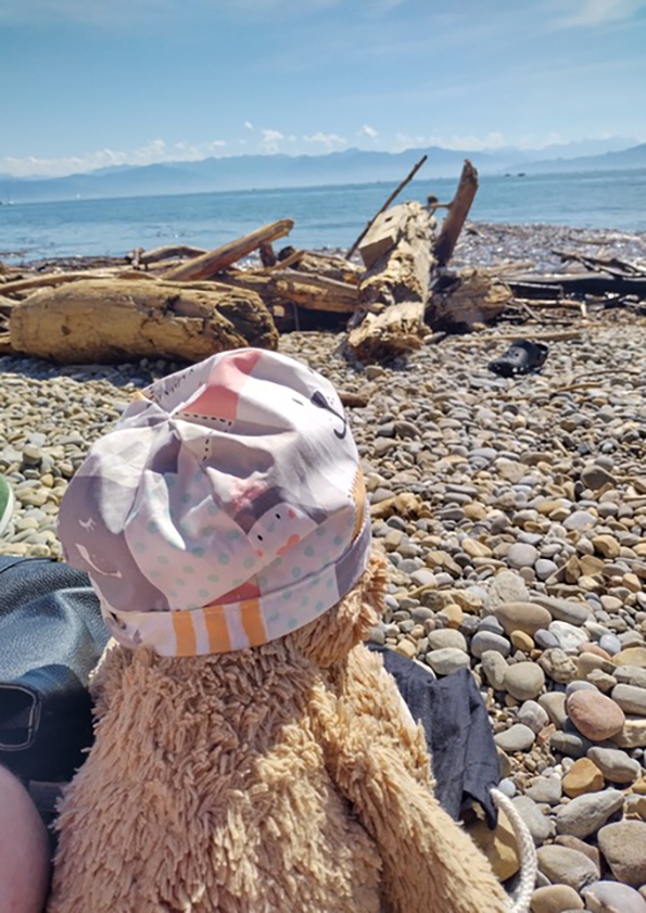 033 Wunderschöner Bodensee mit Treibholz