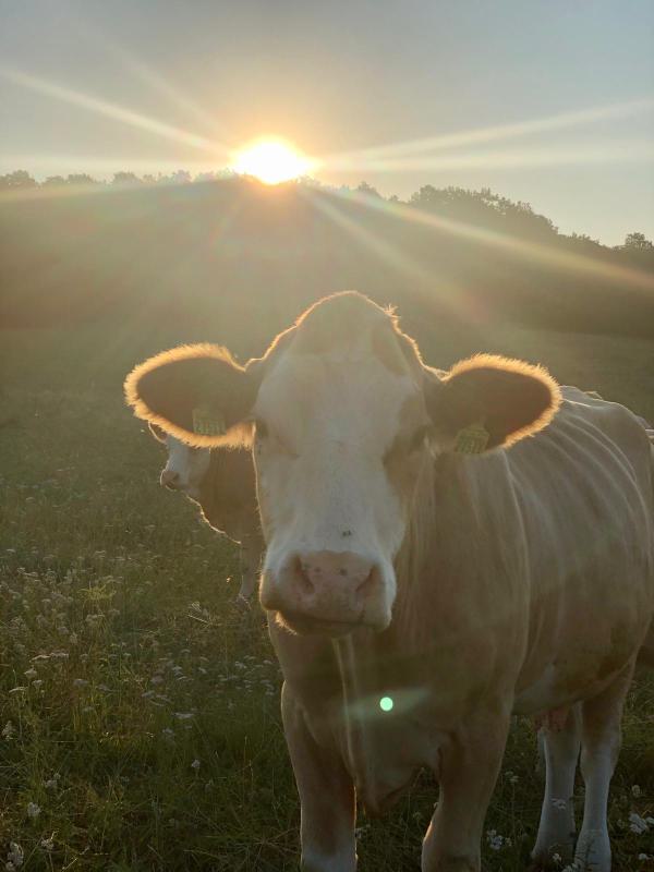 016 Erlebniswanderung in Bayern